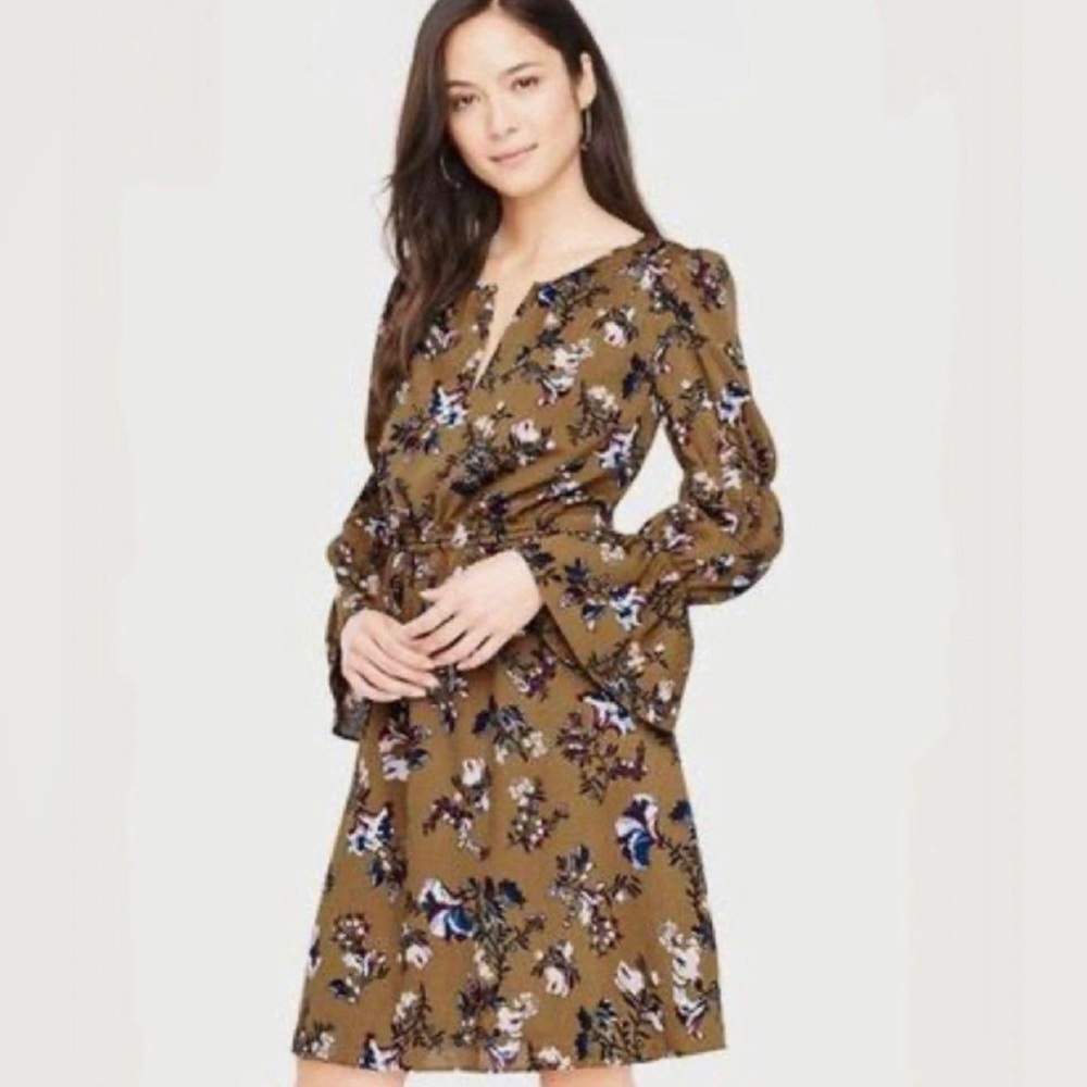 Ann Taylor Dress